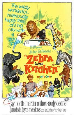 Zebra in the Kitchen poster.jpg