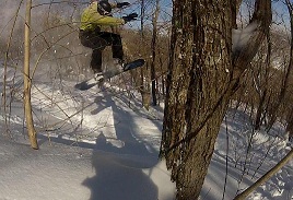 Snowboarder in the trees