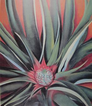 O'keeffe - 'Pineapple Bud', 1939, 