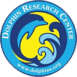 Dolphin Research Center logo.png