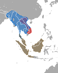 Range map showing ranges of several species: the Sunda slow loris complex (N. coucang) in Thailand, Malaysia, and Indonesia; the Bengal slow loris (N. bengalensis) in east India, China, Bangladesh, Bhutan, Burma, Thailand, Laos, Vietnam, and Cambodia; and the pygmy slow loris (X. pygmaeus) in Vietnam and Laos.