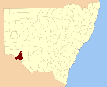 Taila NSW.PNG
