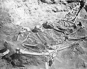 Burial Ridge Skeletons