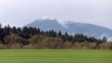 Marys Peak - Central Oregon Coast Range.jpg