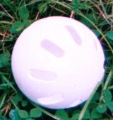 Wiffle ball