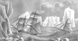 James Weddell Expedition