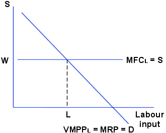 A firm's labour demand in the short run (D) and a horizontal supply curve (S)