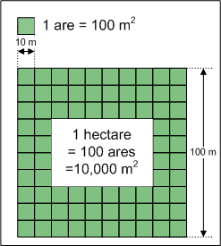Hectare