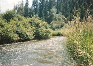 Sanpoil River