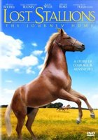 Lost Stallions- The Journey Home.jpg