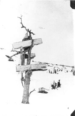 Inuit tree burial
