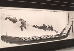 Arctic sledge