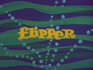 Flipper Title Screen.JPG