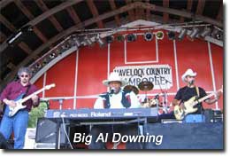 Big Al Downing performing - 2004.jpg
