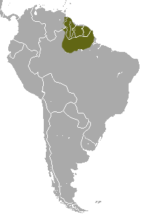 Red-faced Spider Monkey area.png
