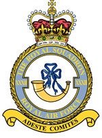 Squadron badge