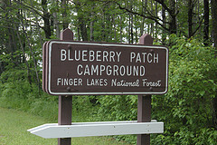 Fingerlakesnationalforest-campground