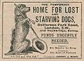 1901 advert for battersea dogs home