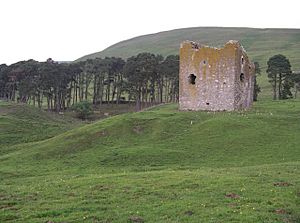 Dryhope Tower - geograph.org.uk - 195093