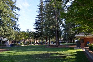 Park in downtown Los Gatos
