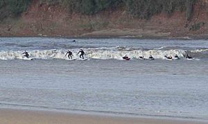 Surfers riding the Severn Bore - geograph.org.uk - 369764