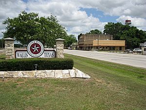 Wallis TX City Sign Hwy 36