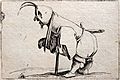 1620 Callot Zwergkrüppel mit Kapuze anagoria