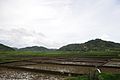 Agriculture in Kukon Meghalaya India