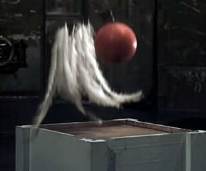 Bowling ball feather gravity