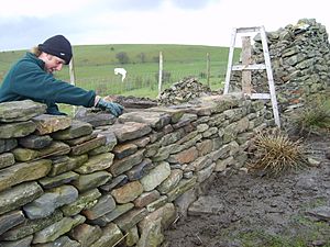 Dry Stone wall building