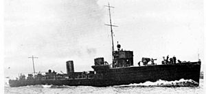 HMS Ardent (1913).jpg