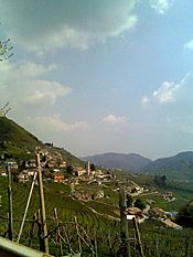 Hillside View of Valdobbiadene.jpg
