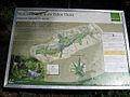 Information board at entrance to Castle Eden Dene - geograph.org.uk - 1473198