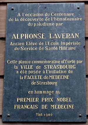 Plaque Alphonse Laveran à Strasbourg