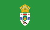 Presidential Standard of Guyana (President David Granger)