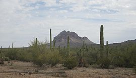 Ragged Top Ironwood Forest National Monument Arizona 2014.jpg