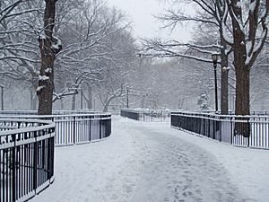 Tompkins Square Park snow by David Shankbone