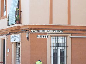 Calle José Celestino Mutis en Cádiz
