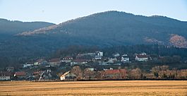 Montricher village