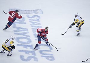 Pittsburgh Penguins, Washington Capitals (33743915834)