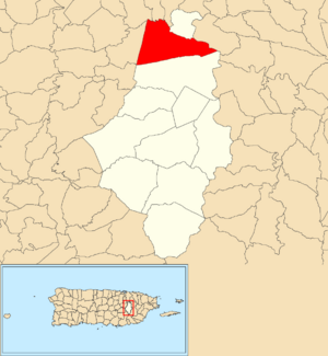 Location of Río Cañas within the municipality of Caguas shown in red