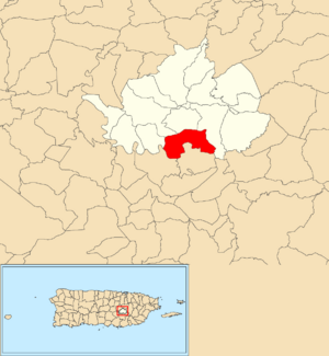 Location of Rincón within the municipality of Cidra shown in red