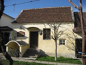 Rudolf Steiner Geburtshaus,Donji Kraljevec, Croatia