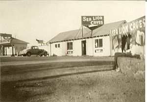 Sea Lion Caves early 1930s