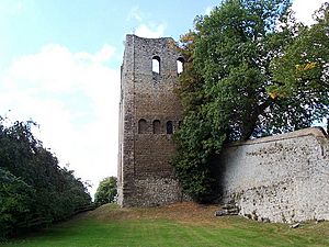 St leonards tower