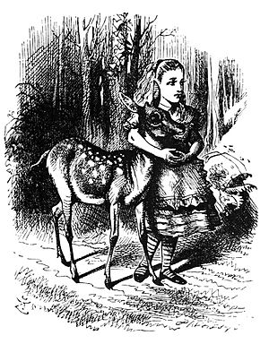 Alice fawn