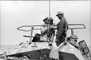 Bundesarchiv Bild 101I-443-1589-07, Nordafrika, Rommel in Befehlsfahrzeug