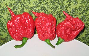 Carolina Reaper pepper pods
