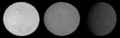 Ceres opposition effect