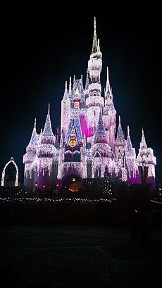 Cinderella Castle During Christmas Season